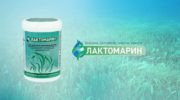 Лактомарин